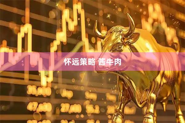 怀远策略 酱牛肉